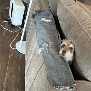 American Eagle Outfitters Gray Distressed Jeans